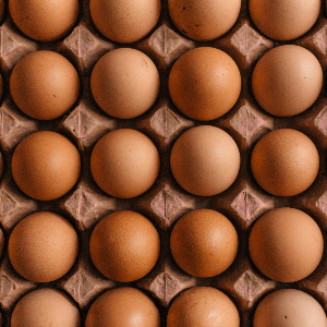 several brown eggs in a cardboard carton