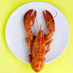 a cooked lobster on a plate