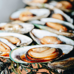 several cooked mussels