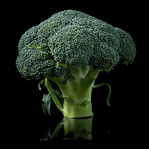 A broccoli stalk