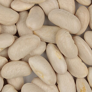  cannellini beans