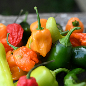 chili peppers