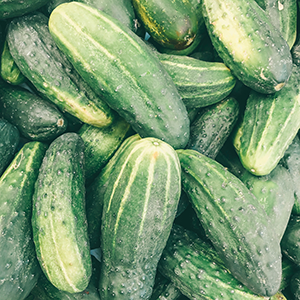 several cucumbers