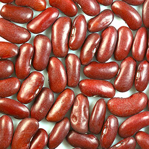kidney beans