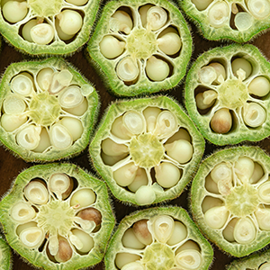 a cross-sections of sliced okra pods