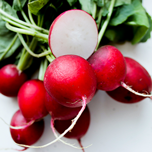 a bunch of radishes