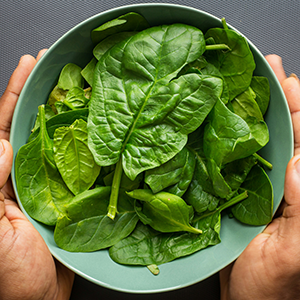 a bowl of spinach leaves