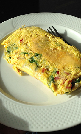 an omelette on a plate